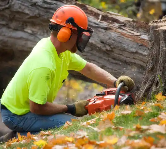 tree services Lake Telemark